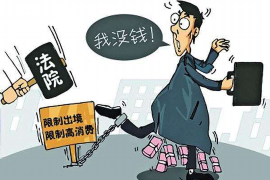 安陆企业清欠服务